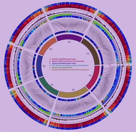 Comparative Analysis of Microbial Genomes