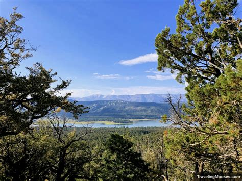 Cougar Crest Trail to Bertha Peak – Ultimate Hiking Guide