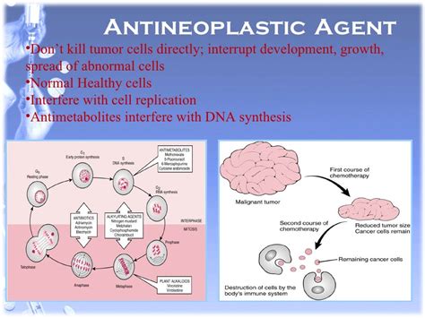 Antineoplastic Drugs