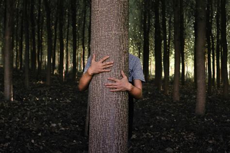 Person Hiding Behind a Tree Trunk · Free Stock Photo