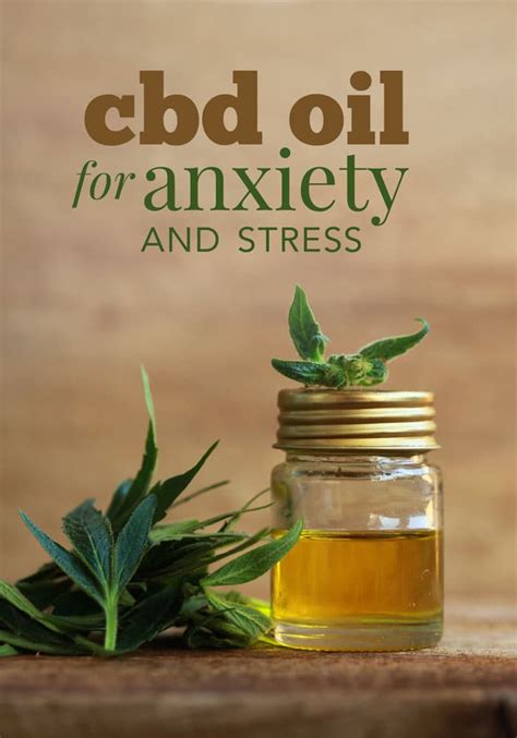 Using CBD Oil for Anxiety and Stress - Five Spot Green Living