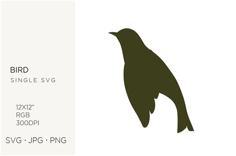 Black Bird Silhouette Clipart Graphic by biljanacvetanovic · Creative ...