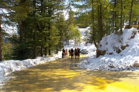 Kufri snow point near Shimla for tourist horse ride and mini Zoo