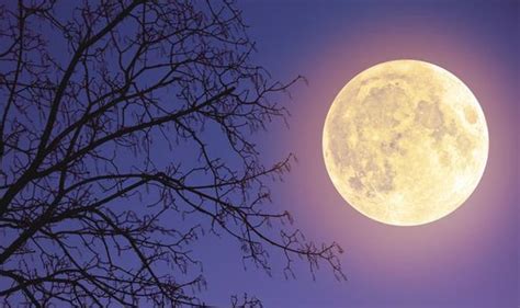 March Full Moon | Facts, Information, History, Names & Spiritual Meaning