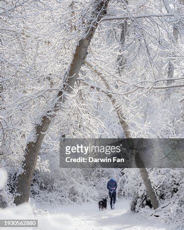 Boise Winter Snow High-Res Stock Photo - Getty Images