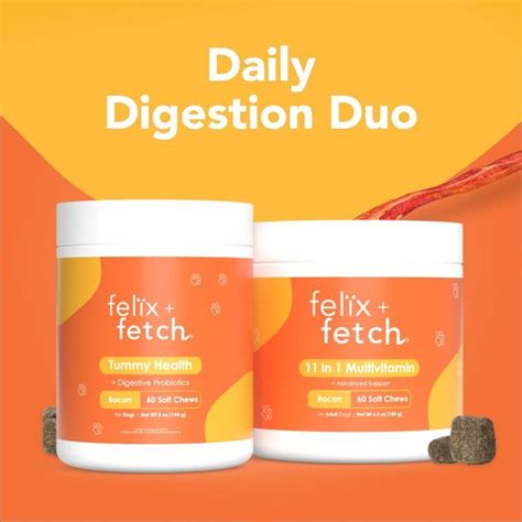 Daily Digestion Duo for Pups | Digestion, Multivitamin, Health