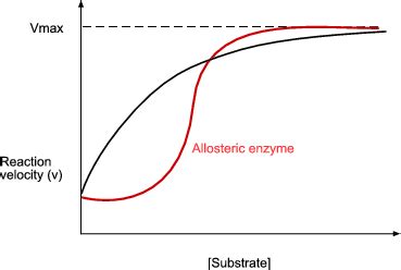 Allosteric Inhibition Graph