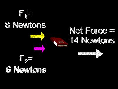 Net Force | Zona Land Education