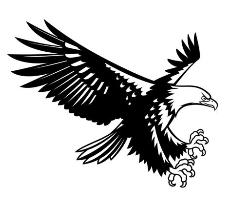 drawing a black eagle flying on white background 10826244 Vector Art at Vecteezy