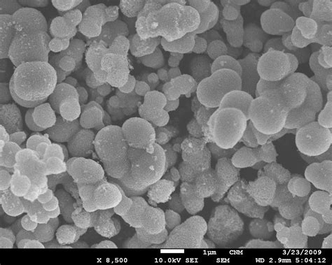 SEM: TiO2 nanoparticles coated with carbon | By Christopher … | Flickr