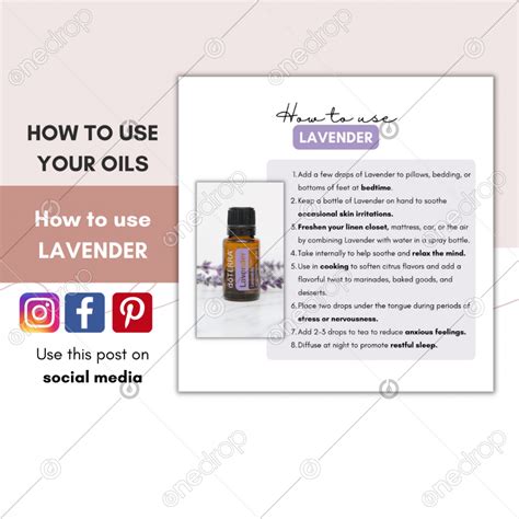 dōTERRA Lavender uses | How to use collection by Valentina Ramirez