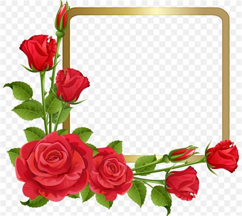 Borders And Frames Rose Clip Art Flower, PNG, 800x733px, Borders And Frames, Artificial Flower ...