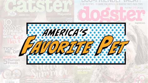 Vote for your favorite animal in America's Favorite Pet Competition