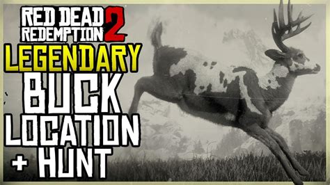 WHERE TO FIND THE LEGENDARY BUCK LOCATION + HUNT - RED DEAD REDEMPTION ...