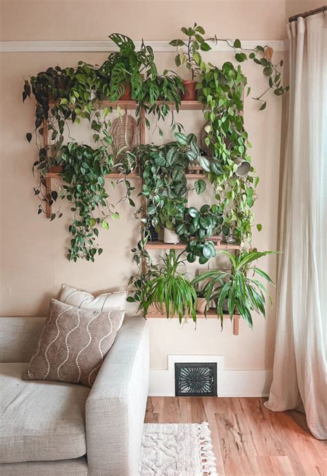 Plant Aesthetic at Home | xoxojackie blog