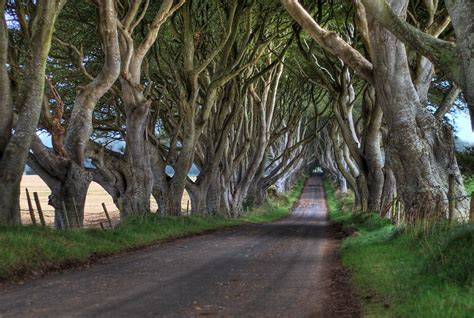 Dark Hedges HDR | The Dark Hedges, just outside Stranocum; a… | Flickr