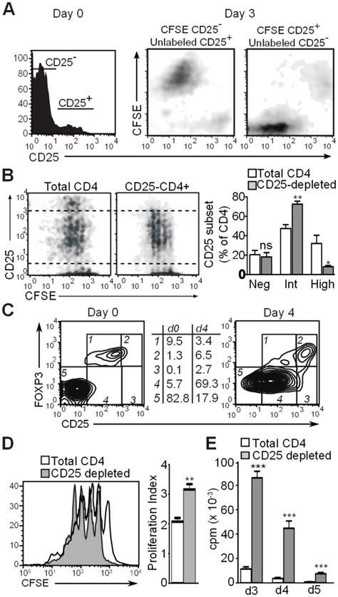 (A) Histogram showing CD25 expression pattern of unstimulated CD4+ T ...