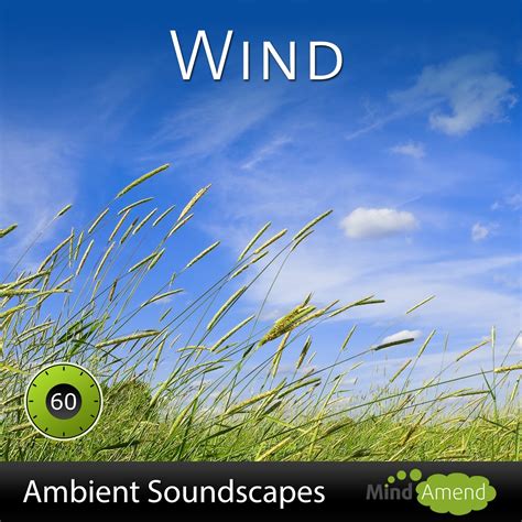 Wind Sounds on Mp3 - Ambient Soundscape