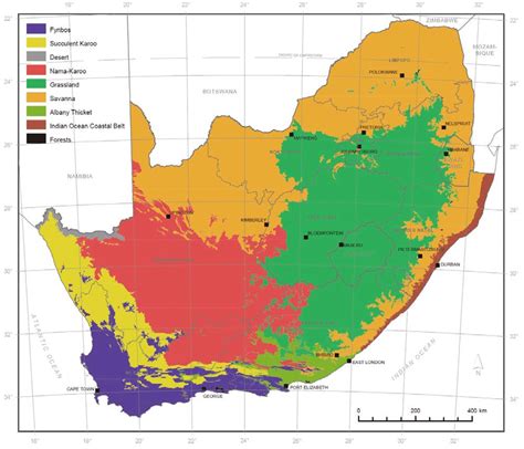 Map of the nine biomes in South Africa (Mucina & Rutherford, 2006) | Download Scientific Diagram