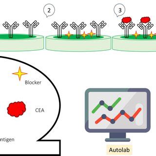 Schematic illustration of biosensor technology | Download Scientific Diagram