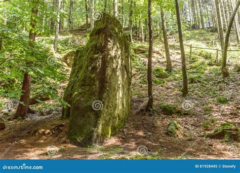 Tall Rock Formations in a Dense Forest Stock Image - Image of formation, barks: 81928445