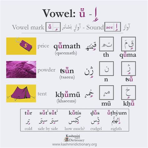 Vowel08: اٟ / ṻ (aee) - Kashmiri Dictionary