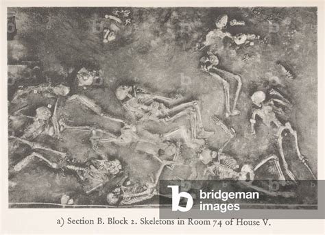 Image of Photograph of Section B, Block 2, Skeletons in room 74 by English Photographer, (20th ...