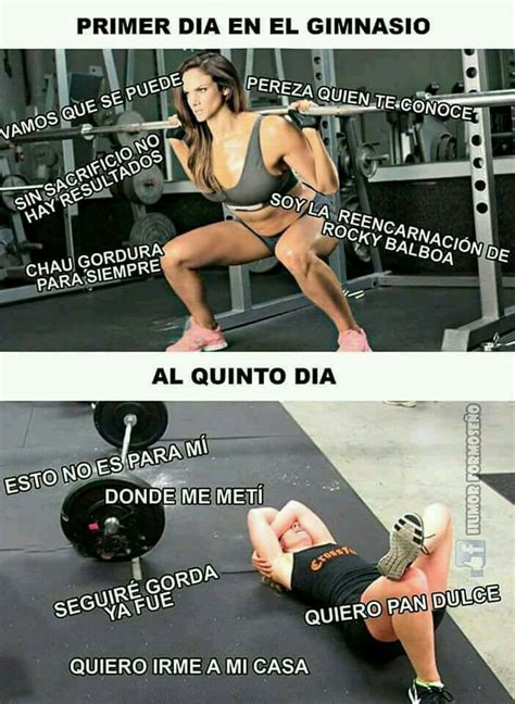 Chistes | Memes de gimnasio, Frases de motivacion gym, Gimnasio frases