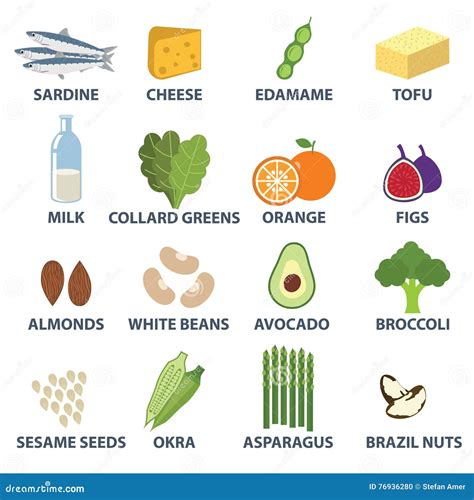 Set of Food with High Calcium. Vitamins and Minerals Foods. Food for ...