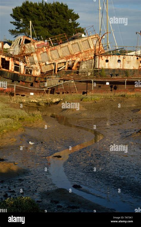 river medina Isle of Wight Stock Photo - Alamy