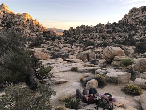 Hidden in the Hidden Valley, Joshua Tree [1334x750][OS] : r/JoshuaTree