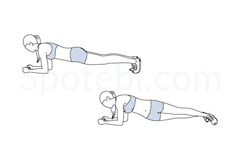 Plank Hip Dips | Illustrated Exercise Guide