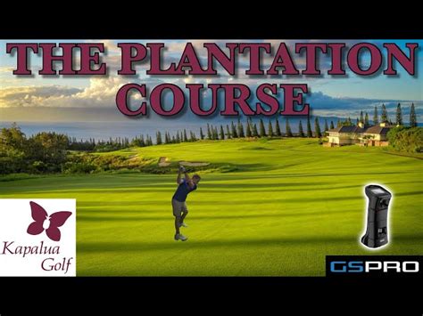 27+ Kapalua Plantation Course Scorecard - AbbigailChe