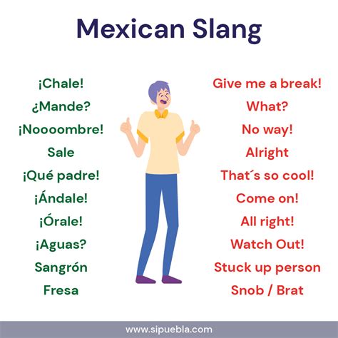 Mexican Slang