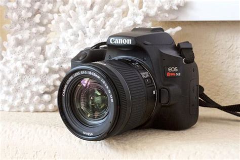 Canon EOS Rebel SL3 Review: A Small & Affordable DSLR to Slay Mirrorless? | Shutterbug