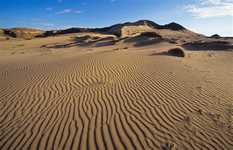 Sechura, el desierto más grande del Perú. | Perú, paraíso natural ...