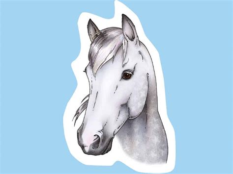 How to draw a horse's head | Drawing horses & ponies | Pony Magazine