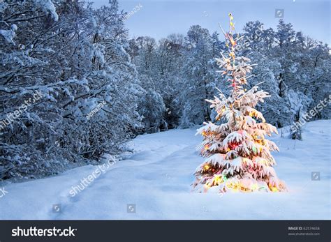 Christmas Tree Snow Colored Lights Stock Photo 62574658 - Shutterstock