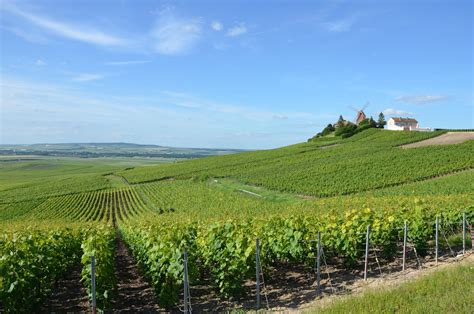 UNESCO lists Champagne vineyards - Travel Weekly