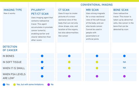 Pylarify Pet Scan