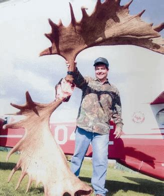 The astonishing size of the antlers of a moose, the undisputed largest cervid alive : HumanForScale