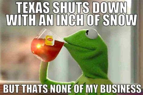 Texas Winter Memes: When The Lone Star State Gets Frosty!