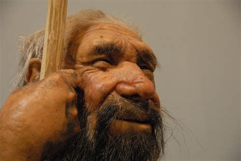 'Distinct Species' Neanderthals Killed Off by Humans, Not Cold