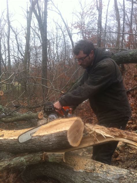 tree felling techniques uk - Brady Jaynes