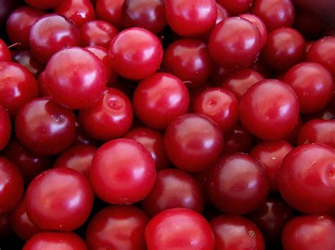 File:Cherry plums.jpg - Wikimedia Commons