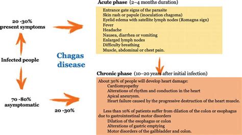 More than a Hundred Years in the Search for an Accurate Diagnosis for Chagas Disease: Current ...