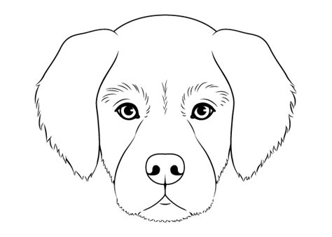 Dog Head Front View Drawing Step by Step - EasyDrawingTips