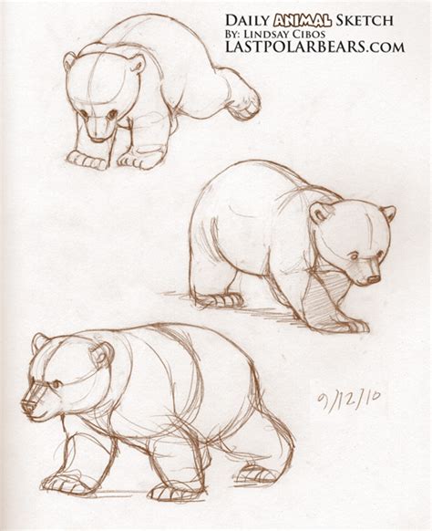 Bear Cub Drawing at GetDrawings | Free download