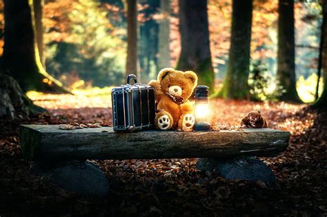 HD wallpaper: teddy bears, toys, trees | Wallpaper Flare