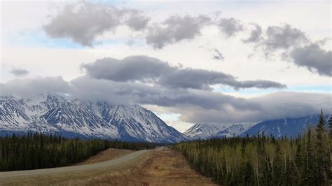 Off to Tok Where the Alaska Adventure Began - Blog from Tok, Alaska ...